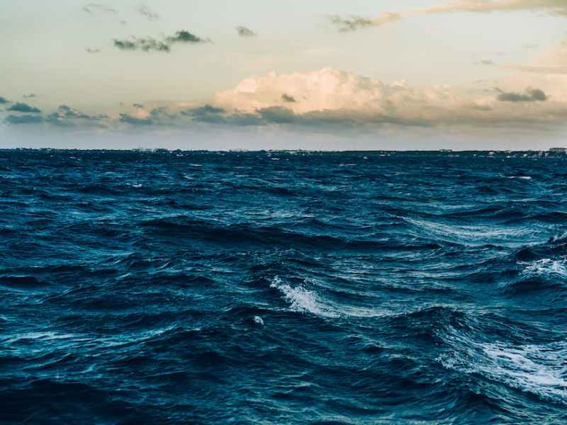 The Rush is Inside of&nbsp;Me.